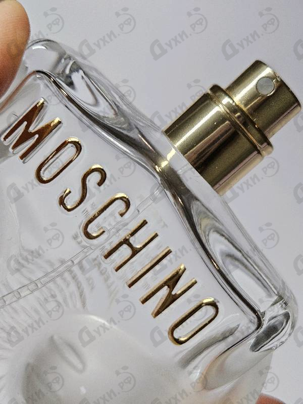 Купить Toy 2 от Moschino