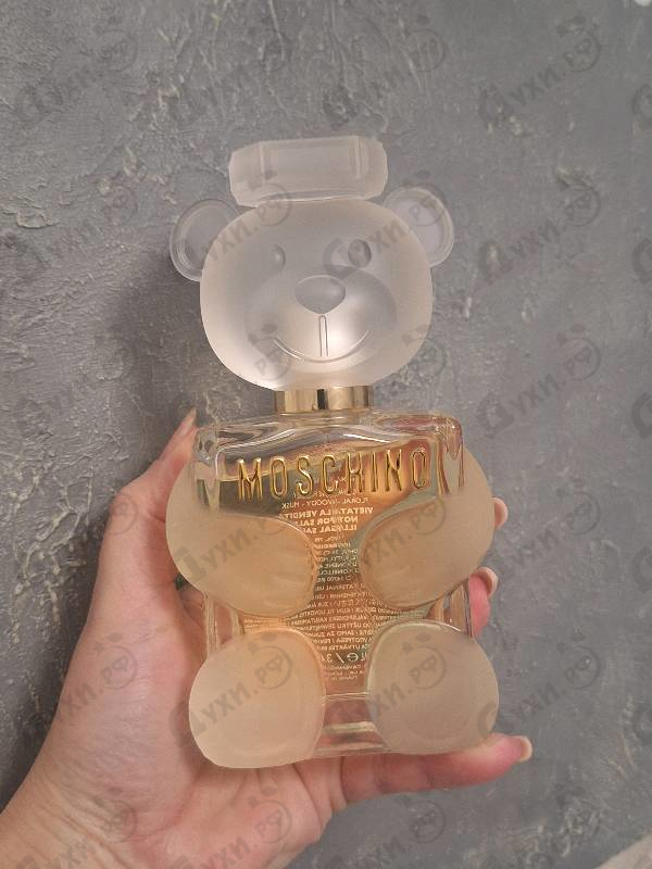 Парфюмерия Toy 2 от Moschino