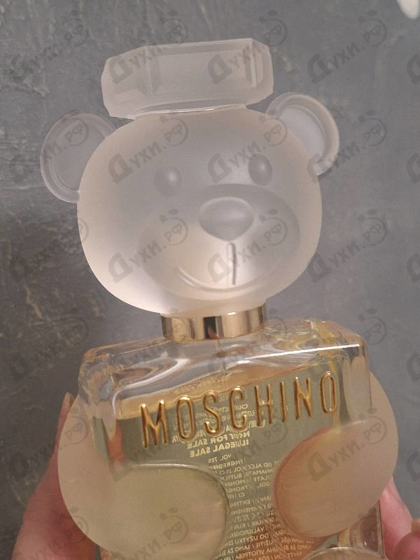 Купить Toy 2 от Moschino