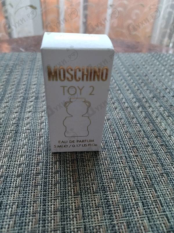 Купить Toy 2 от Moschino