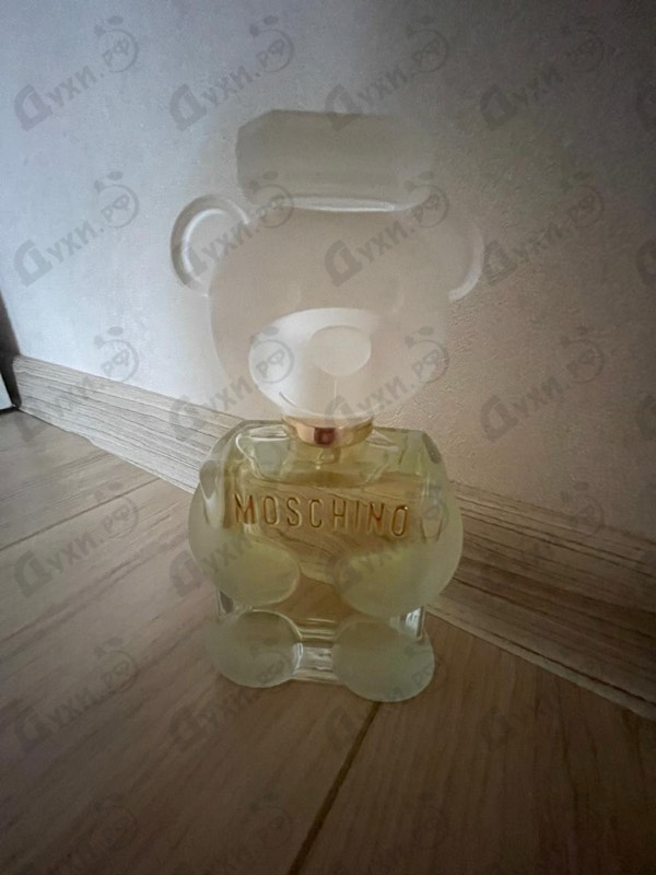 Купить Toy 2 от Moschino