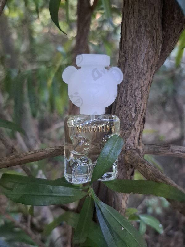 Купить Toy 2 от Moschino