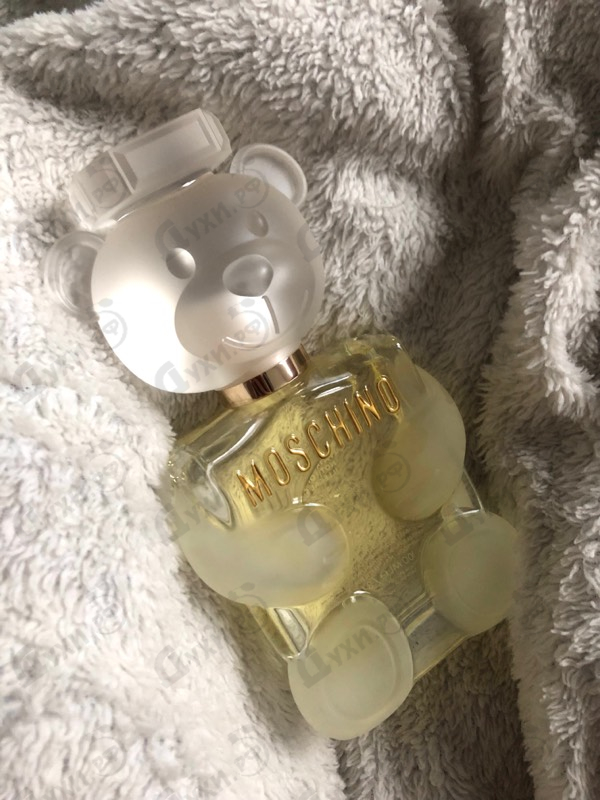 Купить Toy 2 от Moschino