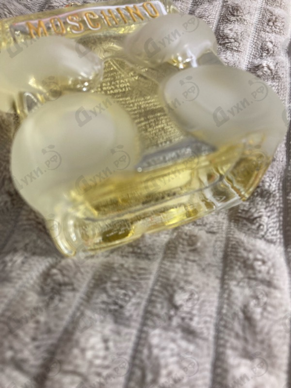 Купить Toy 2 от Moschino