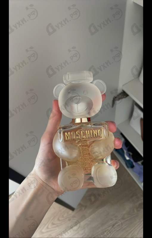 Купить Toy 2 от Moschino