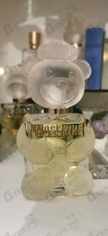 Купить Toy 2 от Moschino
