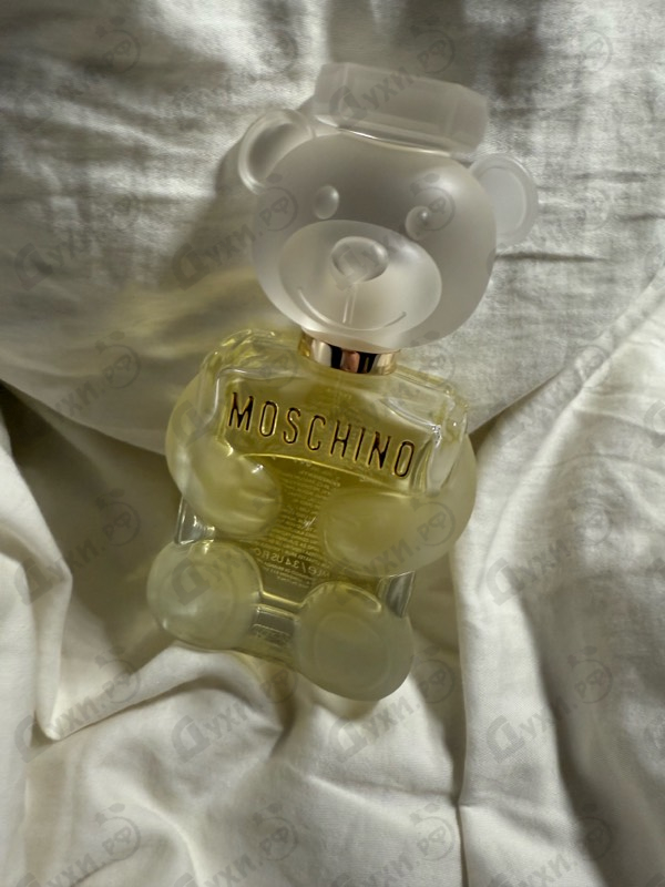 Купить Moschino Toy 2