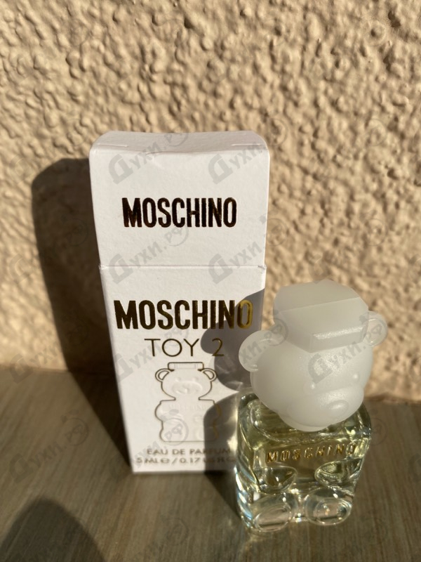 Купить Toy 2 от Moschino