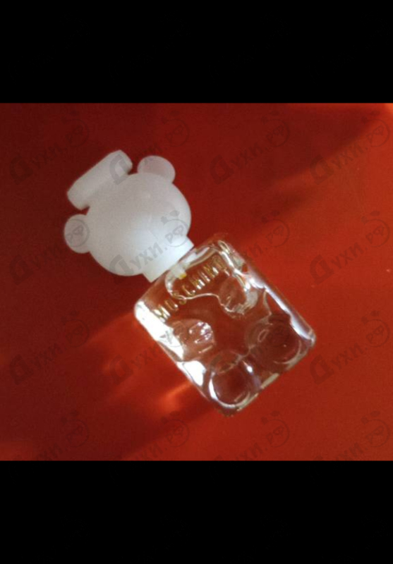 Купить Toy 2 от Moschino