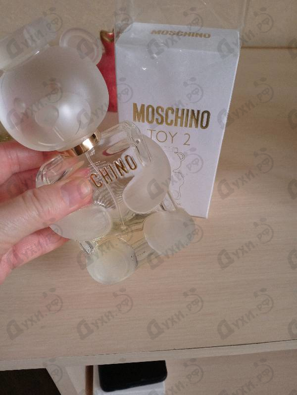 Купить Toy 2 от Moschino