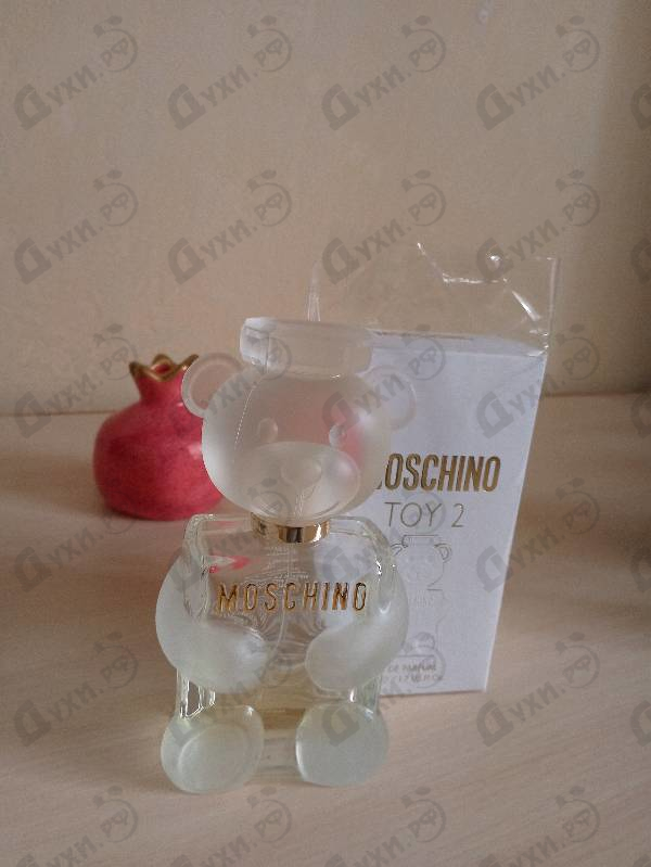 Купить Toy 2 от Moschino