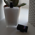 Духи Pure Musc For Her от Narciso Rodriguez