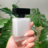 Парфюм Narciso Rodriguez Pure Musc For Her Парфюмерия Pure Musc For Her от Narciso Rodriguez