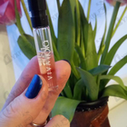 Отзывы Ajmal Viva Viola