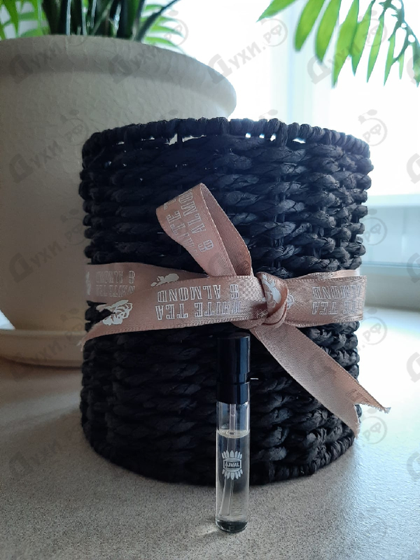 Духи Viva Viola от Ajmal Купить Ajmal Viva Viola