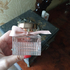 Купить Chloe L'Eau Eau De Toilette от Chloe