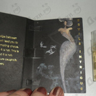 Отзыв Haute Fragrance Company Devil's Intrigue