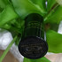 Парфюмерия Haute Fragrance Company Devil's Intrigue