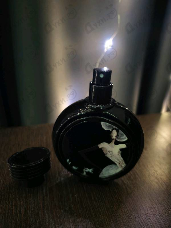 Купить Devil's Intrigue от Haute Fragrance Company