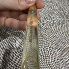 Духи Devil's Intrigue от Haute Fragrance Company