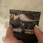 Отзыв Haute Fragrance Company Devil's Intrigue