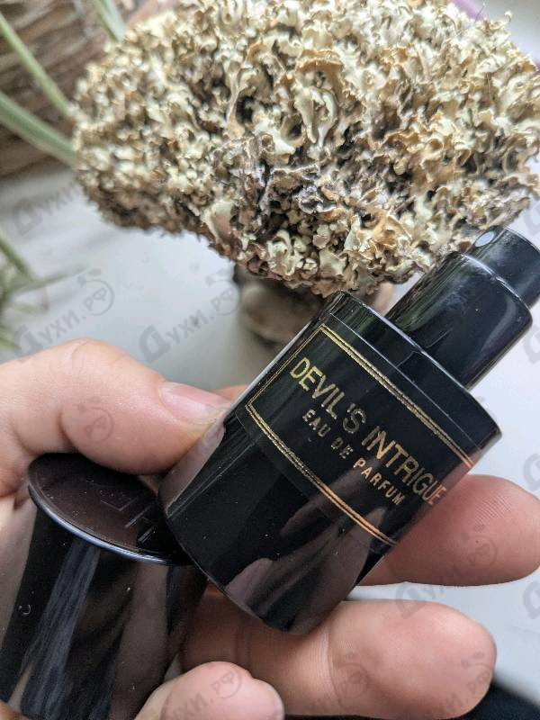Духи Devil's Intrigue от Haute Fragrance Company