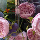 Отзыв Haute Fragrance Company Devil's Intrigue