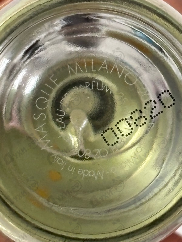 Купить Love Kills от Masque Milano