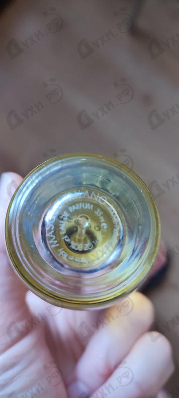 Купить Kintsugi от Masque Milano