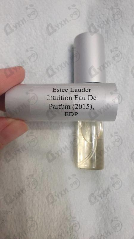 Купить Intuition Eau De Parfum (2015) от Estee Lauder