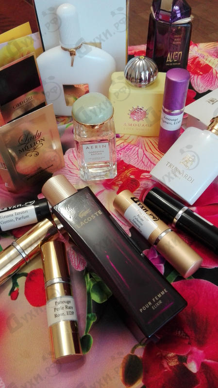 Парфюмерия Pour Femme Elixir от Lacoste Купить Lacoste Pour Femme Elixir