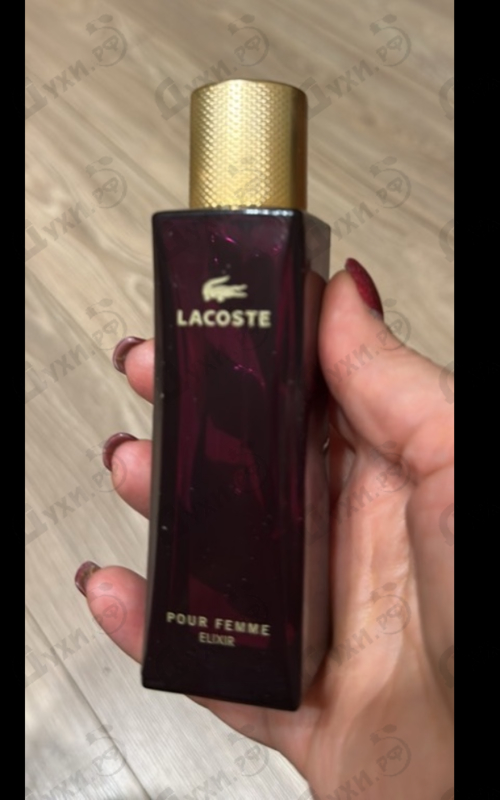 Купить Pour Femme Elixir от Lacoste
