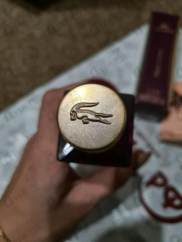 Купить Pour Femme Elixir от Lacoste