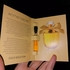 Купить Women'secret Gold Seduction Парфюмерия Gold Seduction от Women'secret