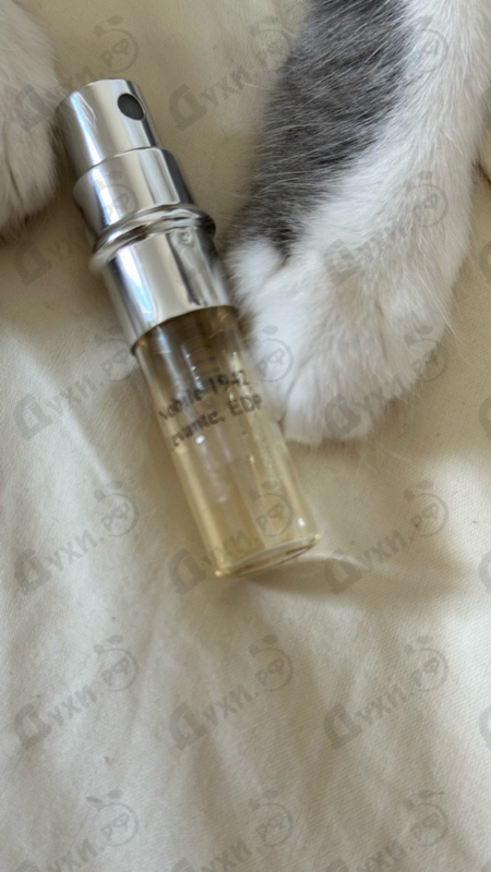 Парфюмерия Levante от Nobile 1942