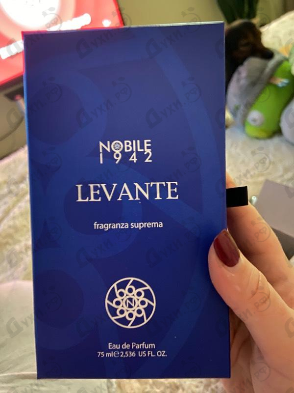 Купить Levante от Nobile 1942