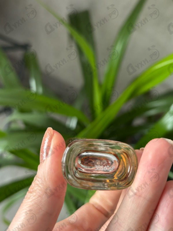 Купить Emporio Armani In Love With You от Giorgio Armani