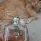 Духи Emporio Armani In Love With You от Giorgio Armani