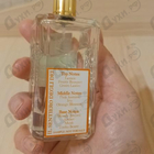 Отзыв Nobile 1942 Il Sentiero Degli Dei