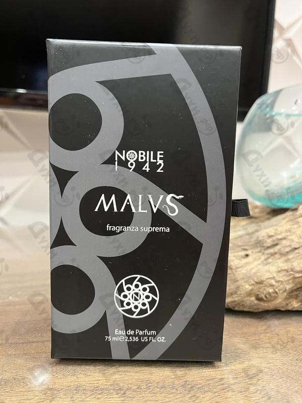 Купить Malvs от Nobile 1942 Отзыв Nobile 1942 Malvs
