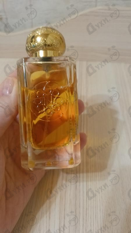 Купить Nobile 1942 Malvs