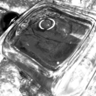 Отзыв Giorgio Armani Emporio Armani Stronger With You Intensely