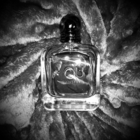 Отзыв Giorgio Armani Emporio Armani Stronger With You Intensely