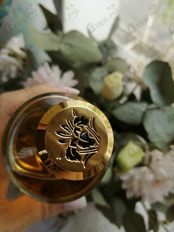 Купить Vanille Exclusive от Mancera