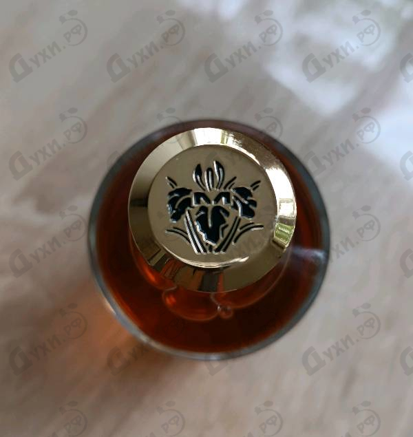 Купить Vanille Exclusive от Mancera