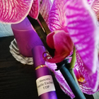 Отзывы Mancera Vanille Exclusive