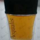 Отзывы Patrik Mauboussin Aequalis