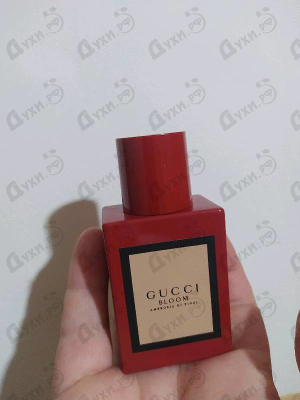 Отзывы Gucci Bloom Ambrosia Di Fiori