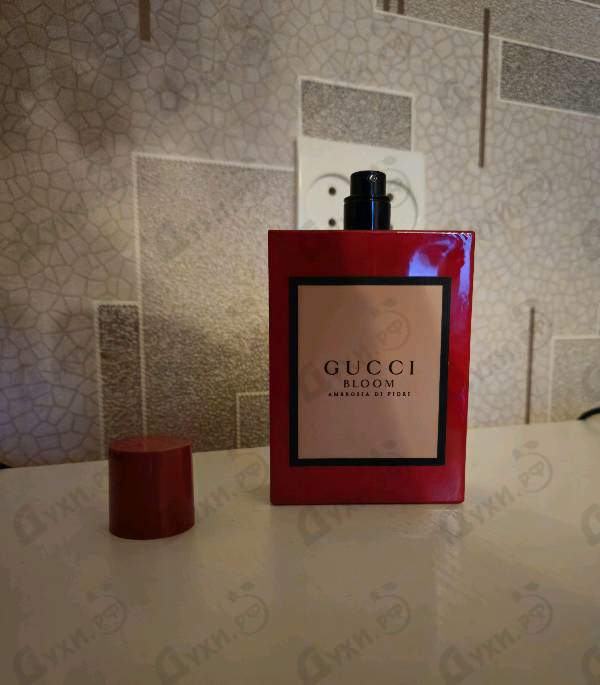Купить Gucci Bloom Ambrosia Di Fiori