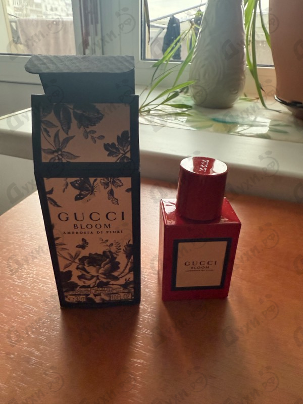 Купить Bloom Ambrosia Di Fiori от Gucci